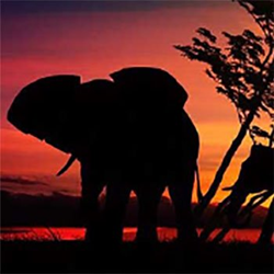 South Africa